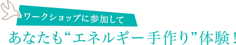 ワークショップに参加してあなたも“エネルギー手作り”体験！